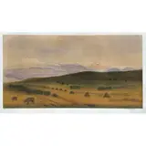 Luis Nishizawa, Paisaje con vacas, Grabado al aguatinta P / T