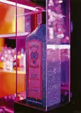 Roberto Bernardi, Bombay Sapphire, 2007, Öl auf Leinwand