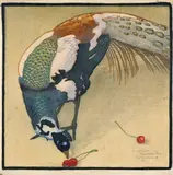 Carl Moser, Weißgefleckter Pfau (Pfau mit Kirschen), 1921, Farbholzschnitt auf Japan
