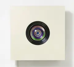 Linsen-Bild by Karl Gerstner, 1962/63, Linse in Objektkasten (Holz und Kunststoff), sold Jun 2020
