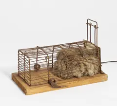Günter Weseler, Atemobjekt K 89/73, 1973, Fellobjekt in Falle aus Holz und Metall, Motor, Kabel