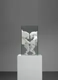 Thomas Lerooy, The Kiss, 2009, bronze, painted wooden plinth and glass vitrine, in 3 parts