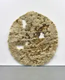 Anna Betbeze, Moon, 2011, wool and ash