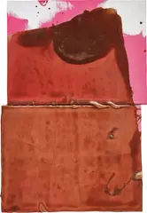 Untitled by Alex Hubbard, 2010, acrylic, enamel paint, plastic mesh, resin and fibreglass on canvas, diptych, sold Dec 2017