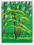19 May, from The Arrival of Spring in Woldgate, East Yorkshire in 2011 (twenty eleven) by David Hockney, 2011, iPad drawing in colours, printed on wove paper, with full margins, sold Jan 2017