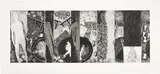 Jasper Johns, The Seasons, 1989, Etching and aquatint, on Arches paper, with full margins