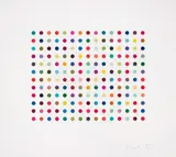 Pyronin Y by Damien Hirst, 2005, Etching and aquatint in colours from the pair of two prints, on Hahnemühle paper, with full margins, sold Jan 2017