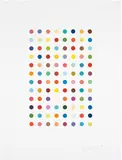 Xylene Cyanol Dye Solution by Damien Hirst, 2005, Etching and aquatint in colours from the pair of two prints, on Hahnemühle paper, with full margins, sold Jan 2017