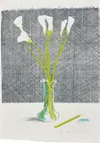David Hockney, Lillies, from Europäische Graphik No VII, 1971, Lithograph in colours, on Japanese paper, the full sheet