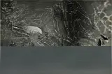 128 Fotos von einem Bild (128 Details from a Picture), Halifax 1978 IV by Gerhard Richter, 1998, Black and white photograph with unique hand-painting in grey oil paint, on resin-coated paper, the full sheet, with the , sold Jun 2017