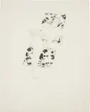 David Hockney, Mo Asleep, 1971, Etching and aquatint, on J. Green paper, with full margins