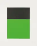 Black/Green by Ellsworth Kelly, 1970, Lithograph in colours, on Arjomari paper, with full margins, sold Jun 2017