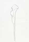 Calla Lilly 3 by Ellsworth Kelly, 1984, Lithograph, on BFK Rives paper, with full margins, sold Jun 2017