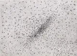 Ed Ruscha, Insect Slant (Ants), from Reality and Paradoxes, 1973, Lithograph and screenprint, on BFK Rives paper, the full sheet