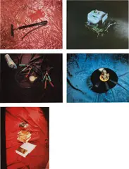 Tropical Fish Series by Ed Ruscha, 1975, The complete set of five screenprints in colours with lacquer overprint, on Arches 88 paper, the full sheets, offered Jun 2017