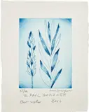 Louise Bourgeois, Untitled (Holiday Laurel), 2004, Drypoint in blue, on heavy wove paper, with full margins