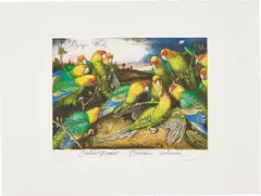 Dying Words by Walton Ford, 2005, Etching and aquatint in colours with drypoint, scraper and burnisher, on BFK Rives paper, with full margins, offered Jun 2017