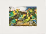 Walton Ford, Dying Words, 2005, Etching and aquatint in colours with drypoint, scraper and burnisher, on BFK Rives paper, with full margins