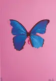 Blue Butterfly from, In The Darkest Hour There May Be Light by Damien Hirst, 2006, Screenprint in colours with glaze, on wove paper, the full sheet, sold Jun 2017