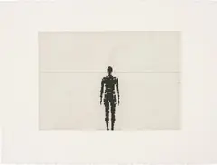 Sublimate by Antony Gormley, 2008/2010, Etching and aquatint, on BFK Rives paper, with full margins, sold Jun 2017