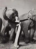 Richard Avedon, Dovima with Elephants, Evening dress by Dior, Cirque d’Hiver, Paris, August