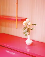 Kazuyoshi Usui, White Roses from Showa88, 2011, Archival pigment print, flush-mounted