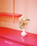 Kazuyoshi Usui, White Roses from Showa88, 2011, Archival pigment print, flush-mounted