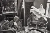 Henri Cartier-Bresson, Henri Matisse, Vence, France