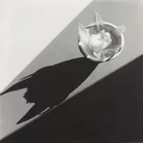 Orchid by Robert Mapplethorpe, 1987, Gelatin silver print, flush-mounted, sold May 2017