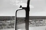 Lee Friedlander, Idaho