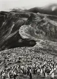 Chinstrap Penguins (Pygoscelis Antarctica), Deception Island, Antarctica by Sebastião Salgado, 2005, Gelatin silver print, sold May 2017