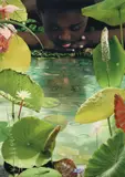 Ruud van Empel, World #23