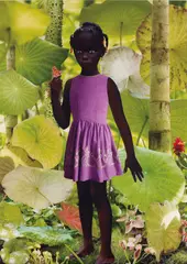 World #11 by Ruud van Empel, 2005, Dye destruction print, face-mounted to Plexiglas and flush-mounted, sold May 2017