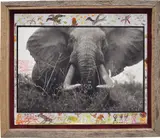 Peter Beard, Large tusker (c. 150 lbs per side), Tsavo North, near hunting block 33/ Ithumber Hill on the Athi-Tiva dry river, February, 1965, Gelatin silver print with watercolour paint and ink, executed later