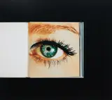 Anne Collier, Eye (Enlargement of Color Negative)
