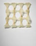 Peter Collingwood, Unique '2-Dimensional Macrogauze'