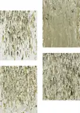 Dan Colen, Four Works: Untitled (Bird Shit)