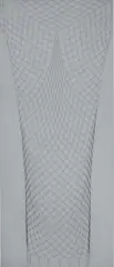 Carol Bove, Anamnesis, 2013, acrylic on linen