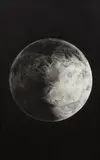 Robert Longo, Untitled (Mars), 2005, charcoal on mounted paper