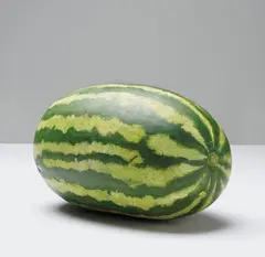 Gavin Turk, Pablos Melon, 2000, painted bronze