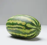 Gavin Turk, Pablos Melon