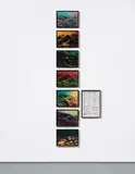 Seth Price, Eight Photographs
