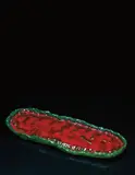 Sterling Ruby, ASHTRAY 243, 2012, ceramic