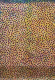 Parker Ito, Inkjet painting #46 (8 color ink), 2013, inkjet on silk