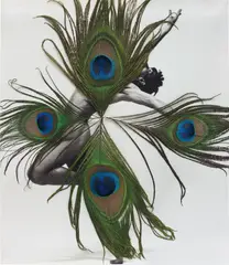 Carol Bove, Nureyev Mandala, 2006, collage with a reproduction of Richard Avedon and feathers in a Plexiglas frame