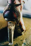Marilyn Minter, Goldi