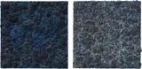 Bosco Sodi, Two works: Organic Work, 2008, mixed media on canvas