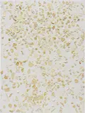 Dan Colen, Untitled