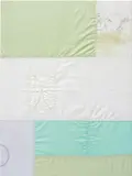 Ross Iannatti, Hysteresis no. 57, 2013, sodium azide, silicone coated nylon fabric
