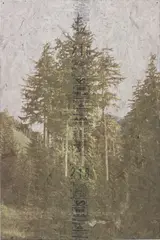 Peter Sutherland, Trust Fall, 2014, inkjet on perforated vinyl and matte medium on OSB